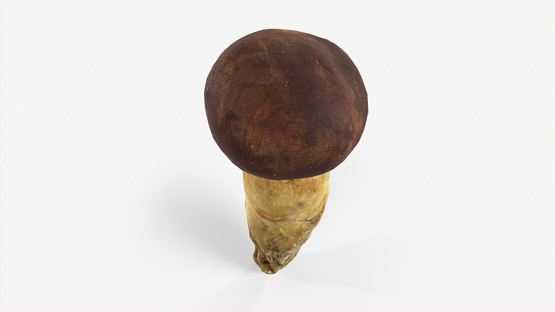 Boletus Badius 02 Low-poly 3D model_4