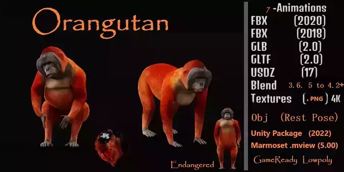 Orangutan  Low-poly 3D model