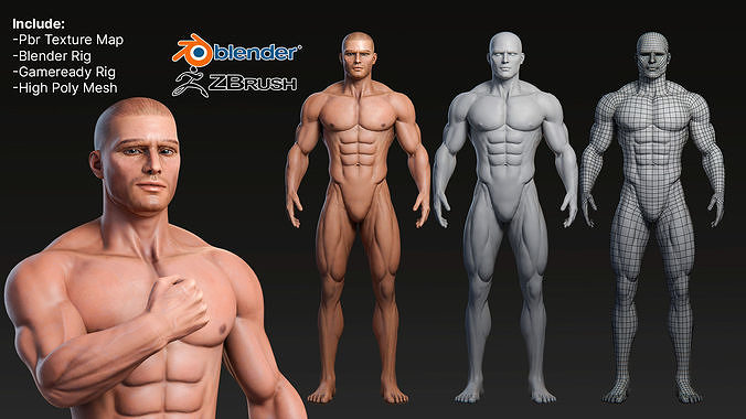 Male Basemesh Rigged Textured Low-poly 3D model