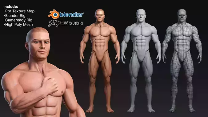 Male Basemesh Rigged Textured