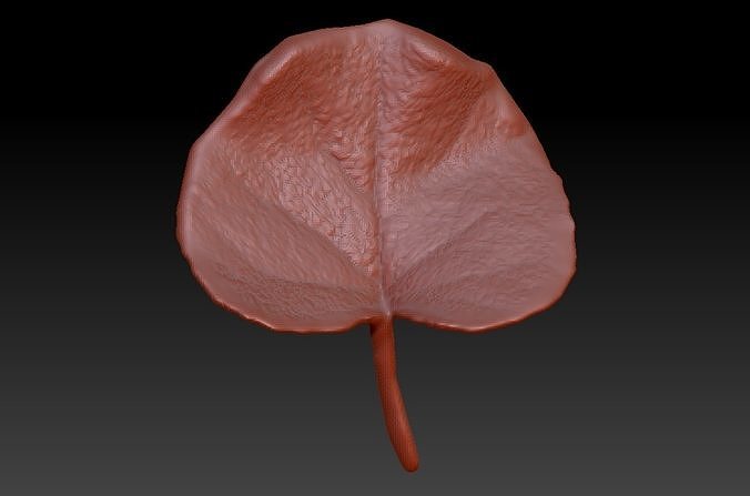 Leaf 3D map download leaf sculpture map 3D printed leaves 3D print model