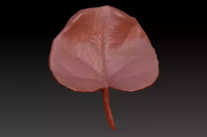 Leaf 3D map download leaf sculpture map 3D printed leaves