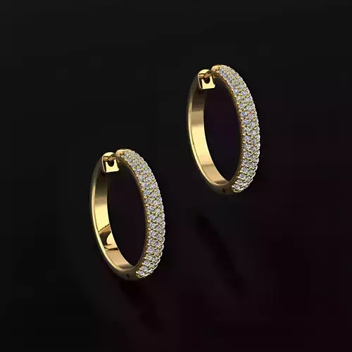 Hoop Earrings 