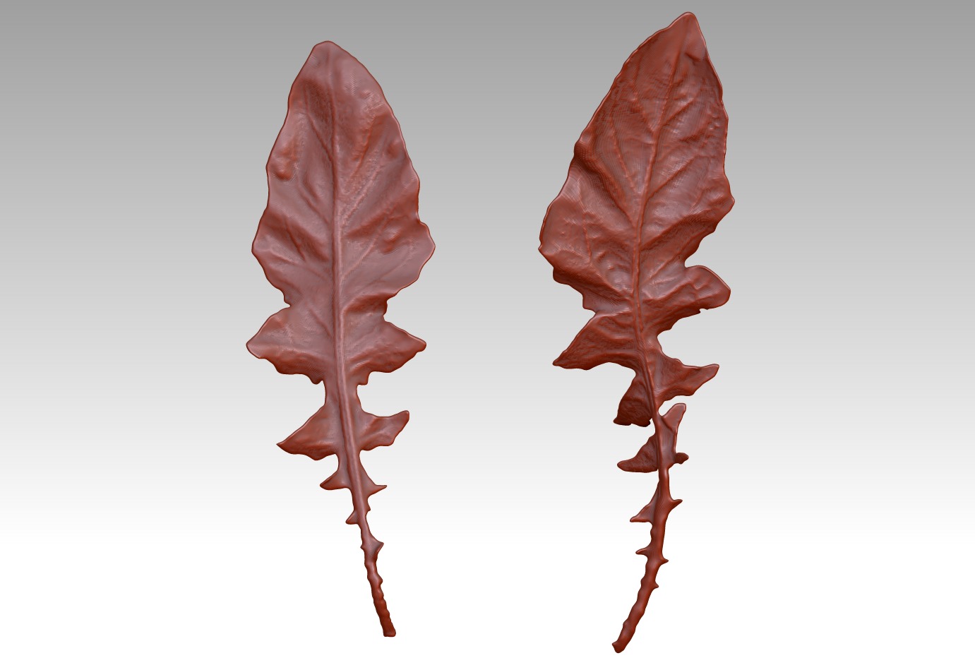 Leaf 3D map download leaf sculpture map 3D printed leaves 3D print model_1