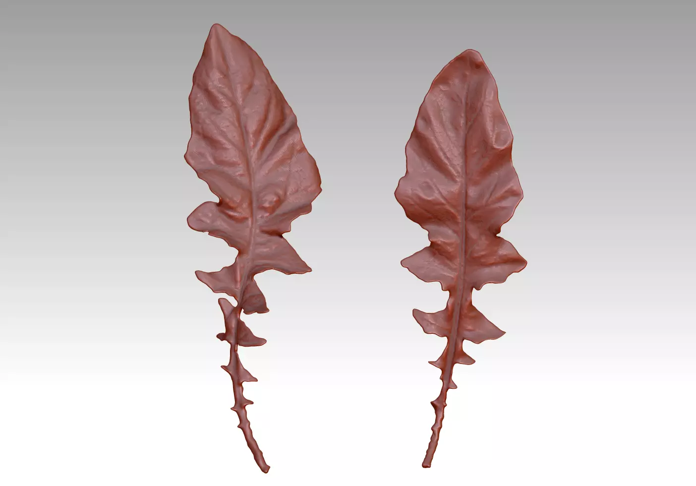 Leaf 3D map download leaf sculpture map 3D printed leaves 3D print model_0