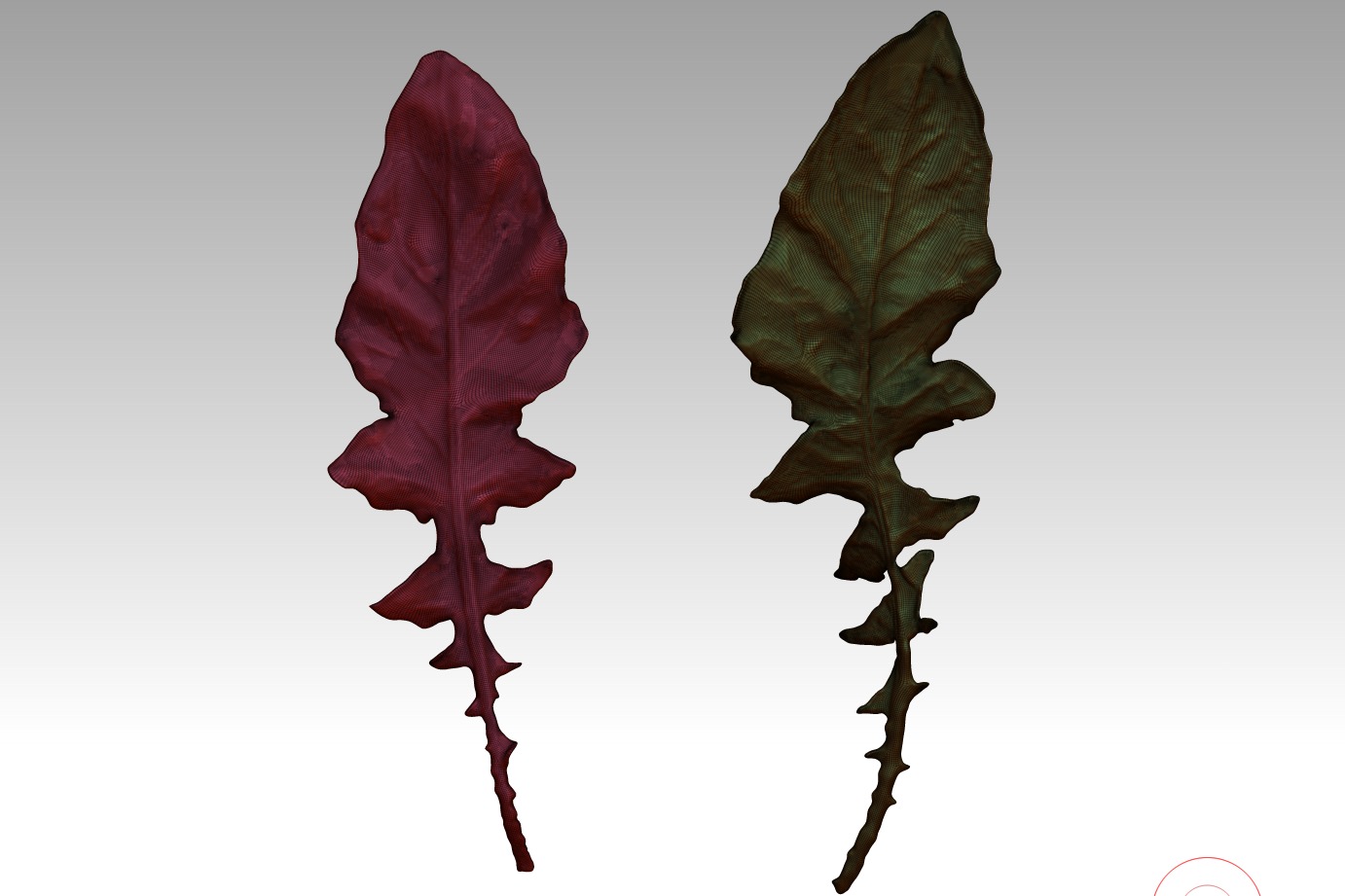 Leaf 3D map download leaf sculpture map 3D printed leaves 3D print model_2