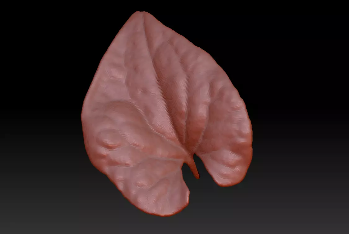 Leaf 3D map download leaf sculpture map 3D printed leaves 3D model 3D ...