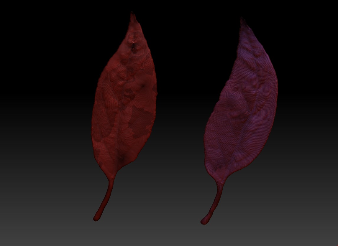 Leaf 3D map download leaf sculpture map 3D printed leaves 3D print model_2