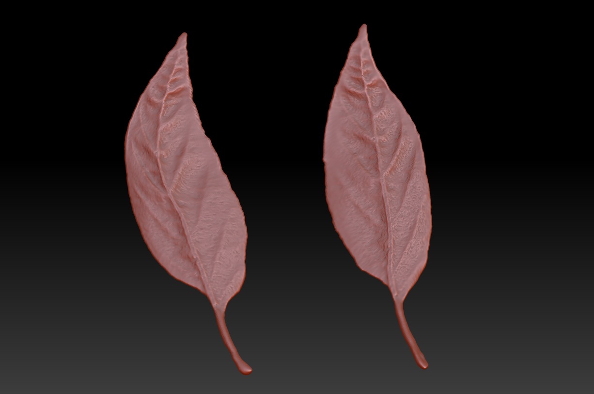 Leaf 3D map download leaf sculpture map 3D printed leaves 3D print model_1