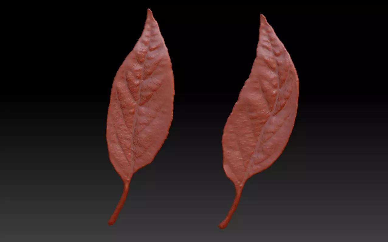 Leaf 3D map download leaf sculpture map 3D printed leaves 3D print model_0