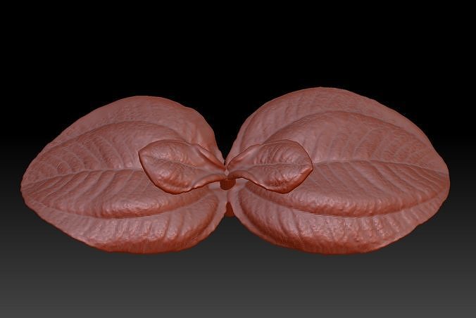 3D printing leaves STL leaves 3D Download Velvet tree leaves 3D print model
