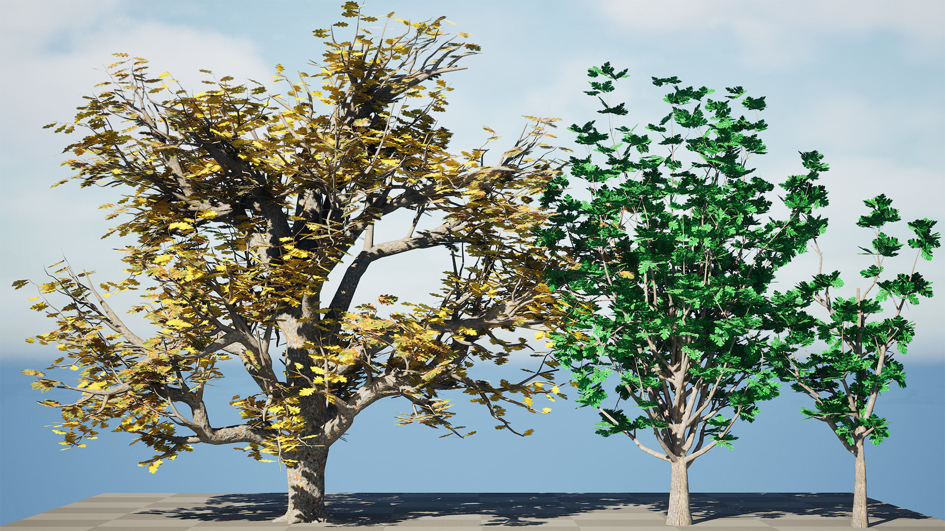Autumn Oak Trees Low-poly 3D model_3