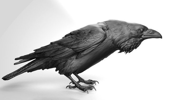 Crow closed - 3D Sculpting - High Poly  3D print model
