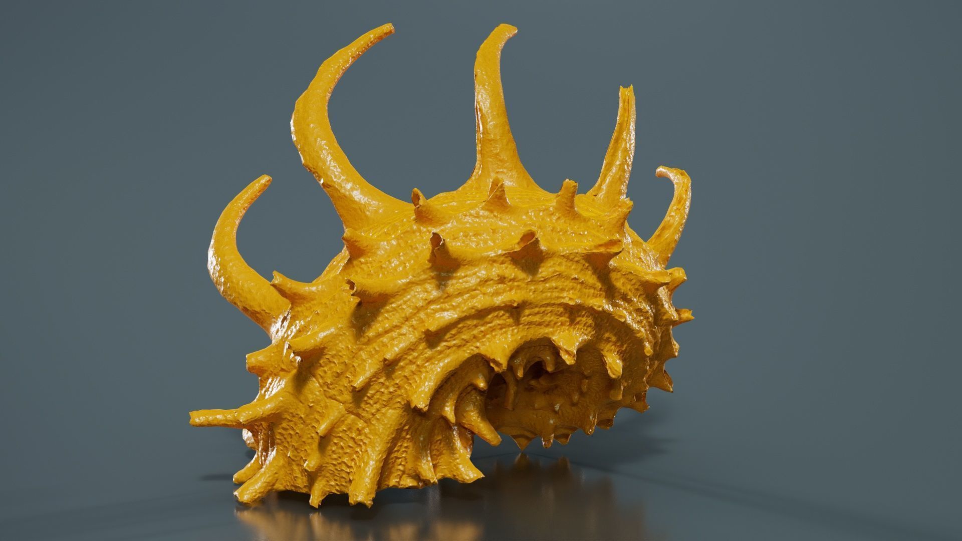 Angaria Delphinus Melanacantha Low-poly 3D model_13