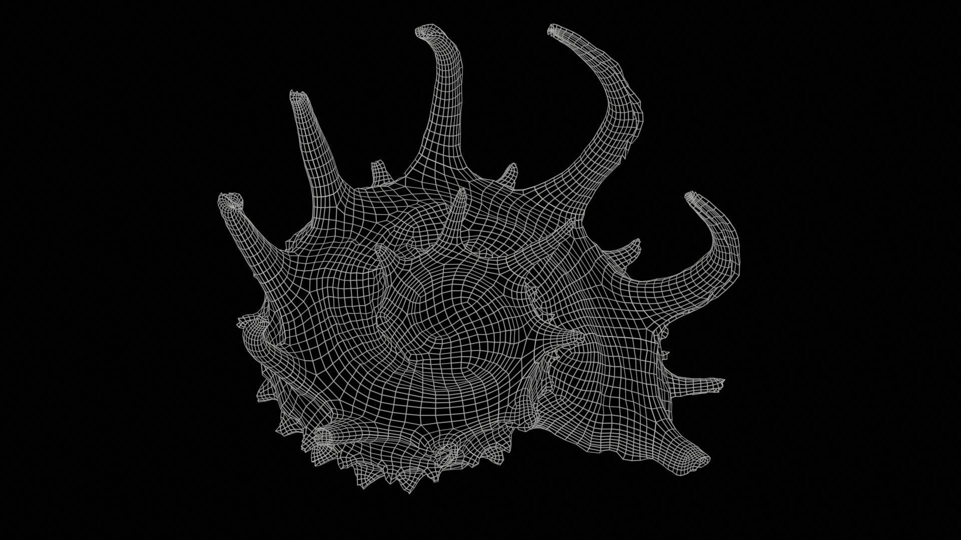 Angaria Delphinus Melanacantha Low-poly 3D model_11