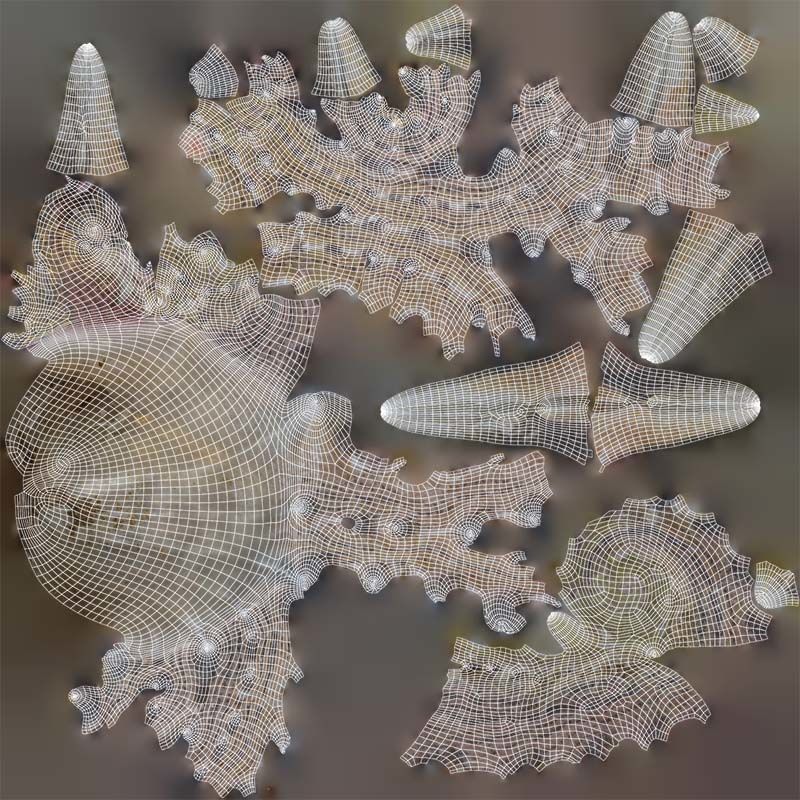 Angaria Delphinus Melanacantha Low-poly 3D model_14