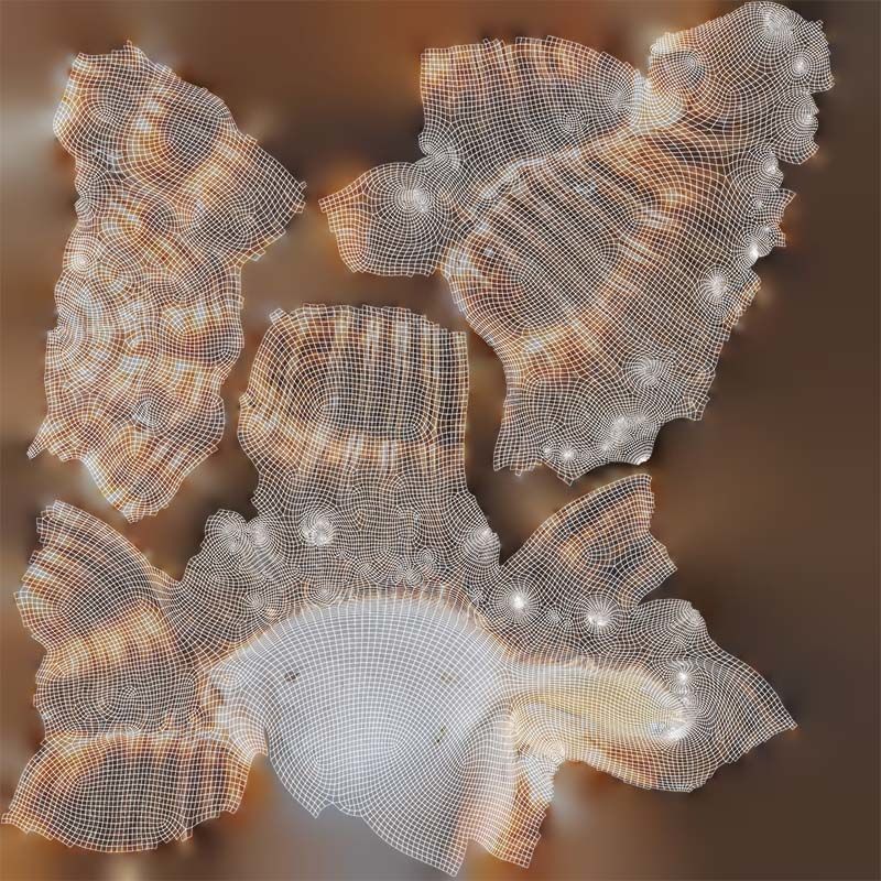 Chicoreus Banksii Brown Mollusk Sea Shell Low-poly 3D model_14