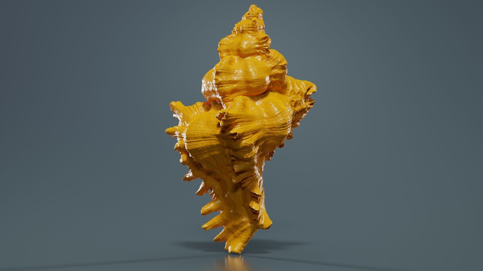 Chicoreus Banksii Brown Mollusk Sea Shell Low-poly 3D model_13