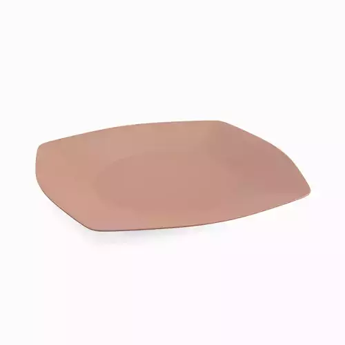 Disposable Plastic Plate A 05