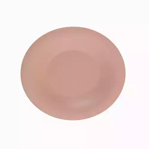 Disposable Plastic Plate B 05 Low-poly 3D model