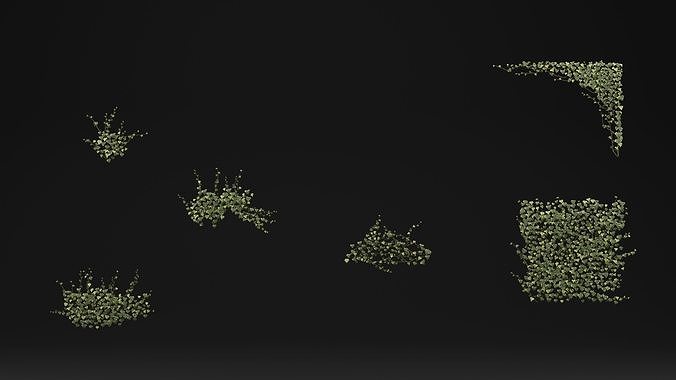Common ivy 3D model