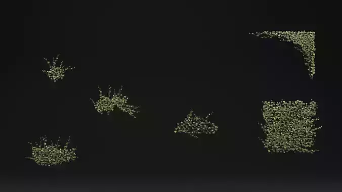 Common ivy 3D model