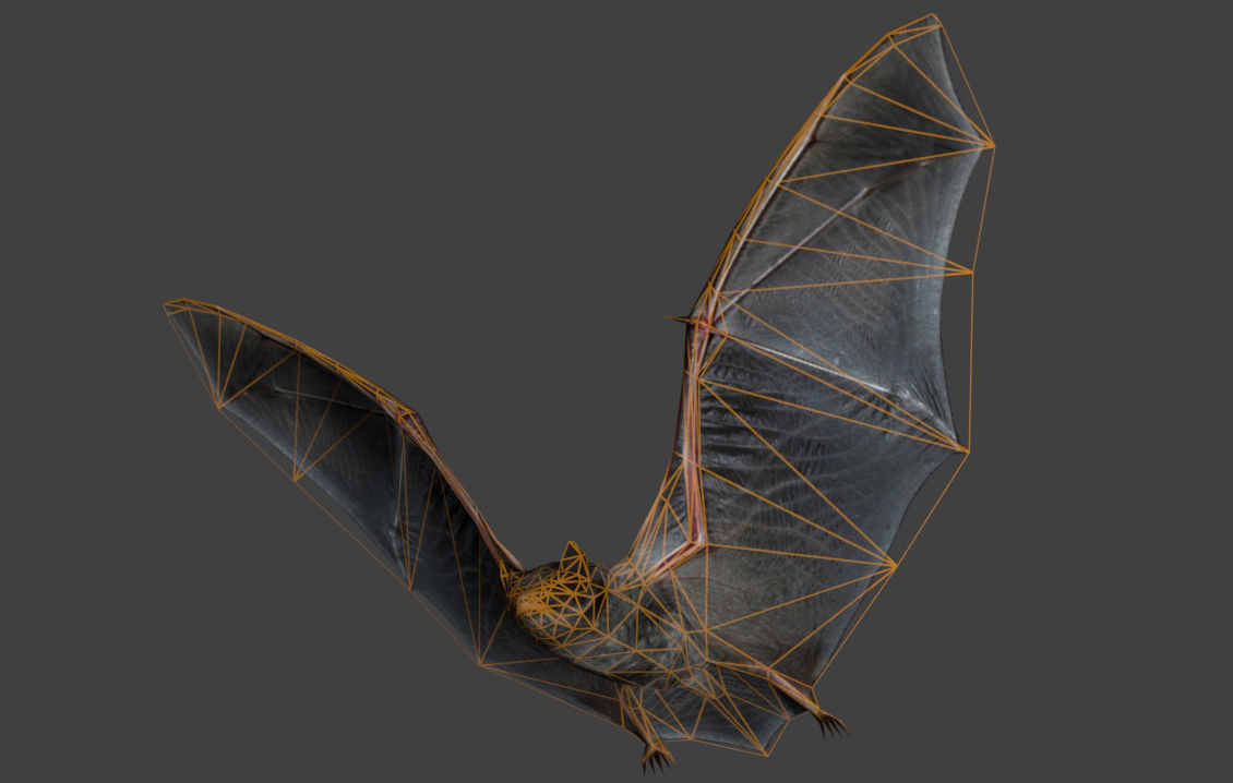 Animated low poly bat Low-poly 3D model_5