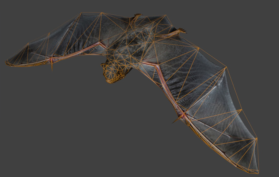 Animated low poly bat Low-poly 3D model_4