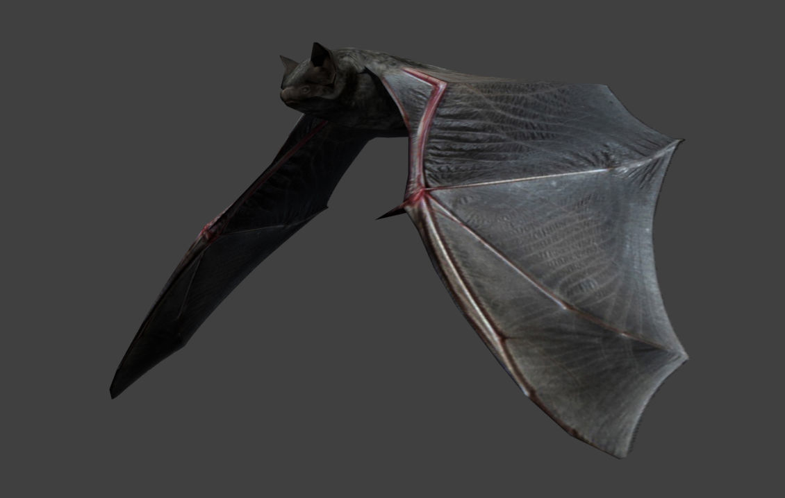 Animated low poly bat Low-poly 3D model_2