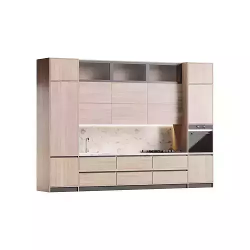 Modern kitchen 06