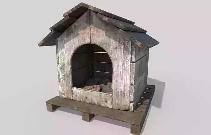 Dog House