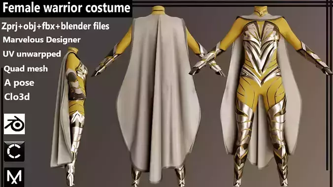 Female warrior costume