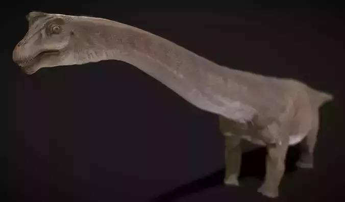 Argentinosaurus