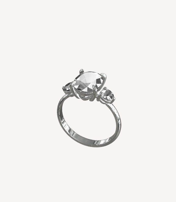 rings 3D print model_4