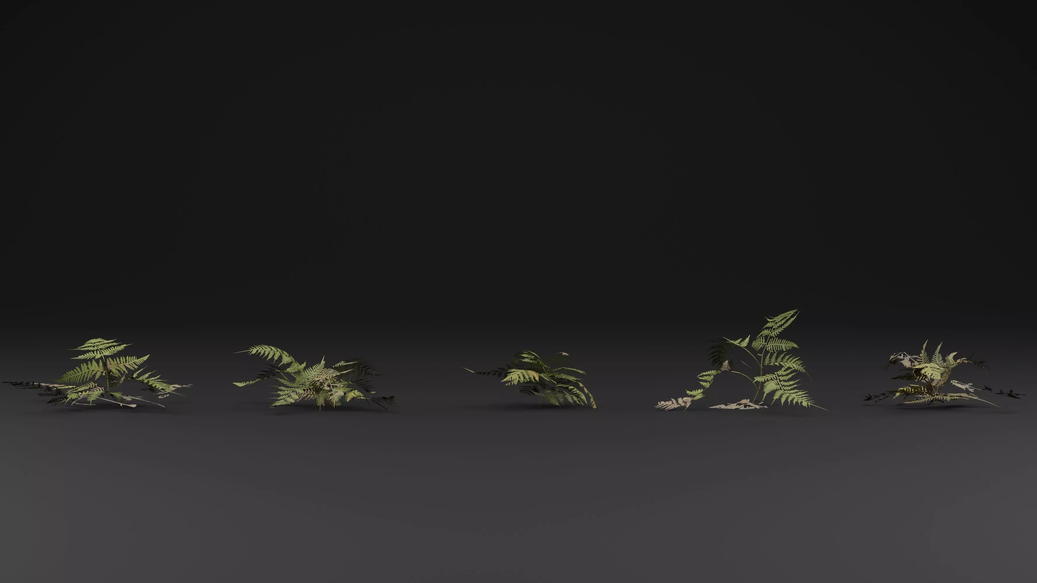 Bracken Fern 3D model_2