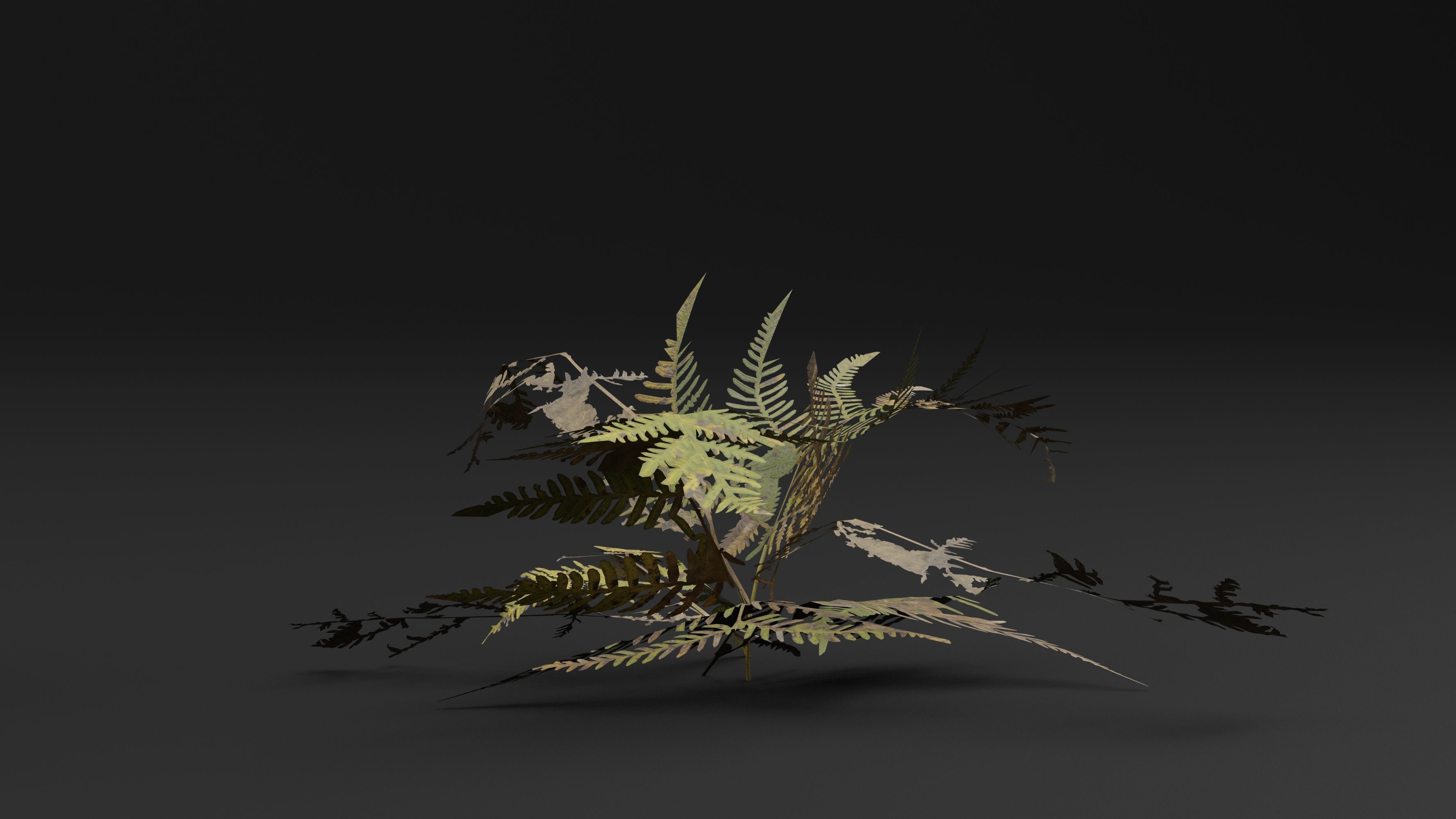 Bracken Fern 3D model_4