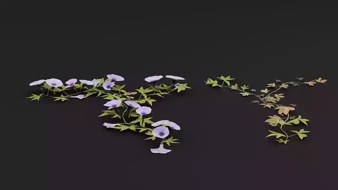 Asiatic tearthumb 3D model