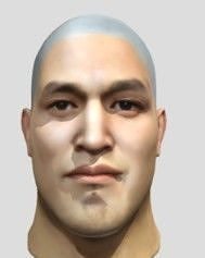 Kyle Lai-Fatt V2 Free 3D model