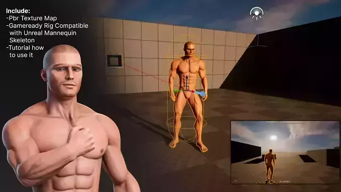 Male Basemesh Rigged Textured Gameready