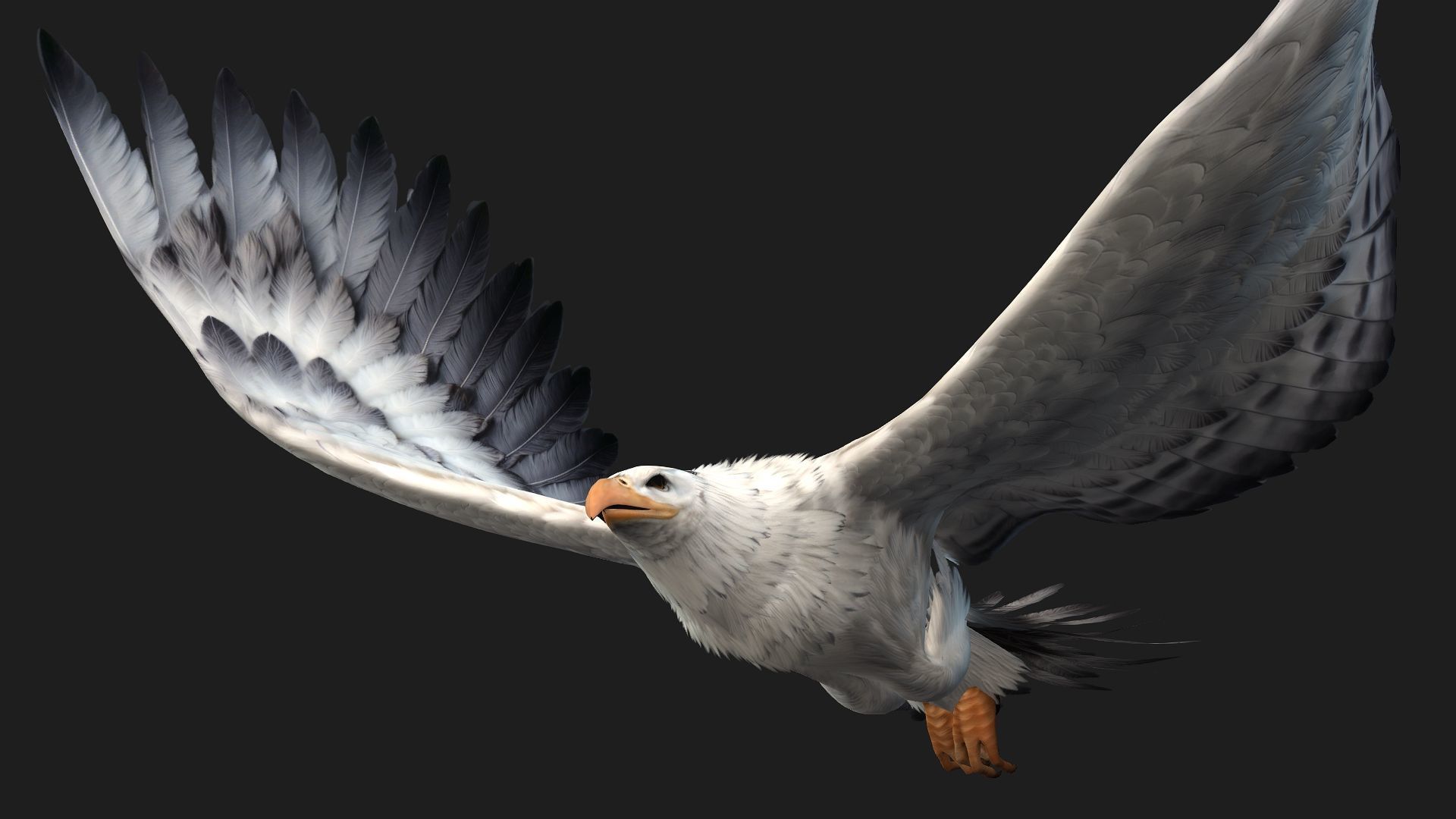 Eagle-B3 3D model_13