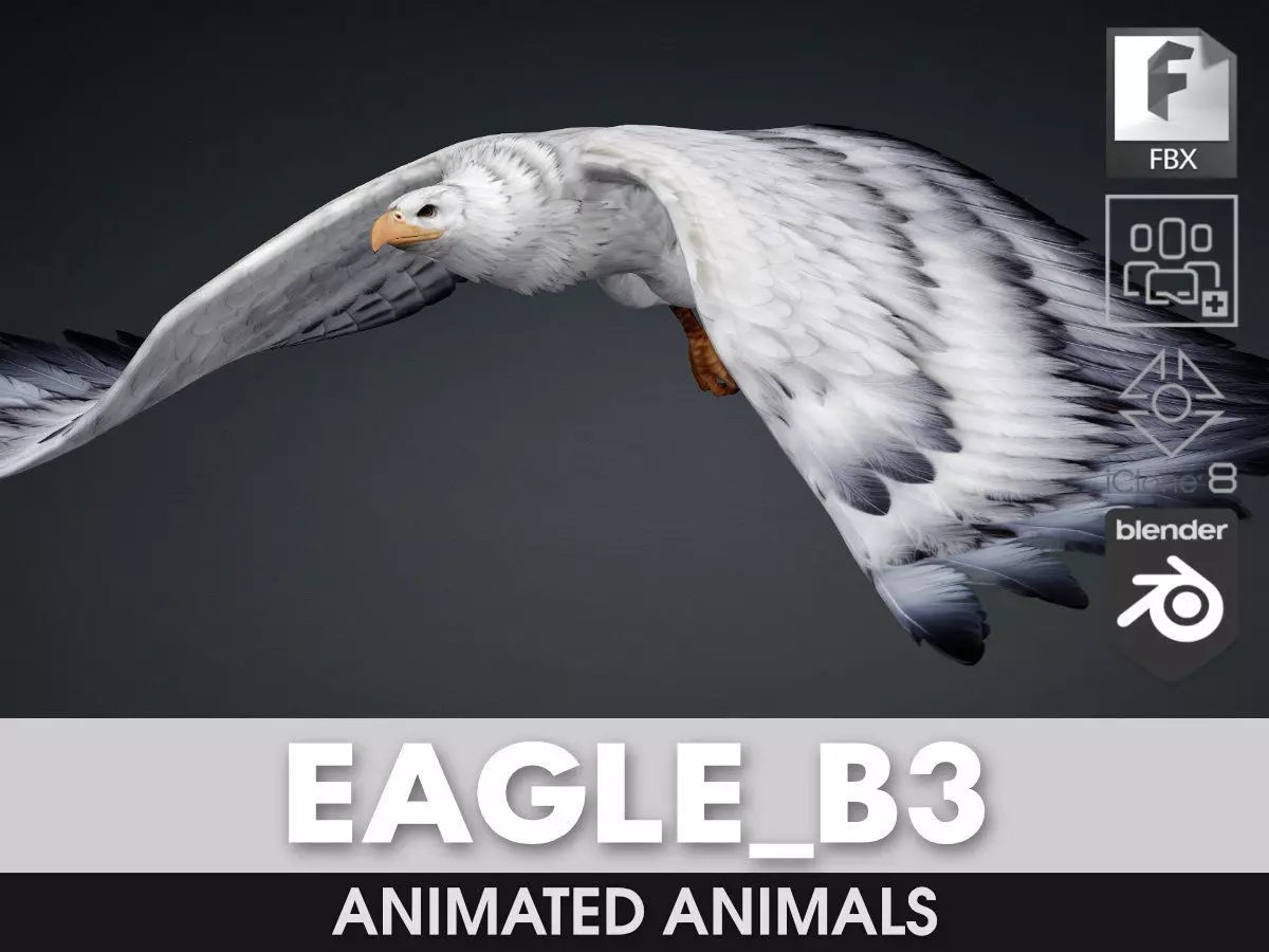Eagle-B3 3D model_0