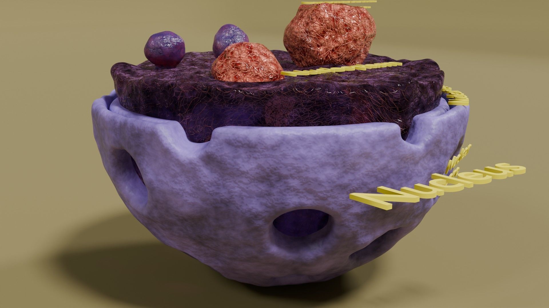 Nucleus structure schematic 3d model Low-poly 3D model_3