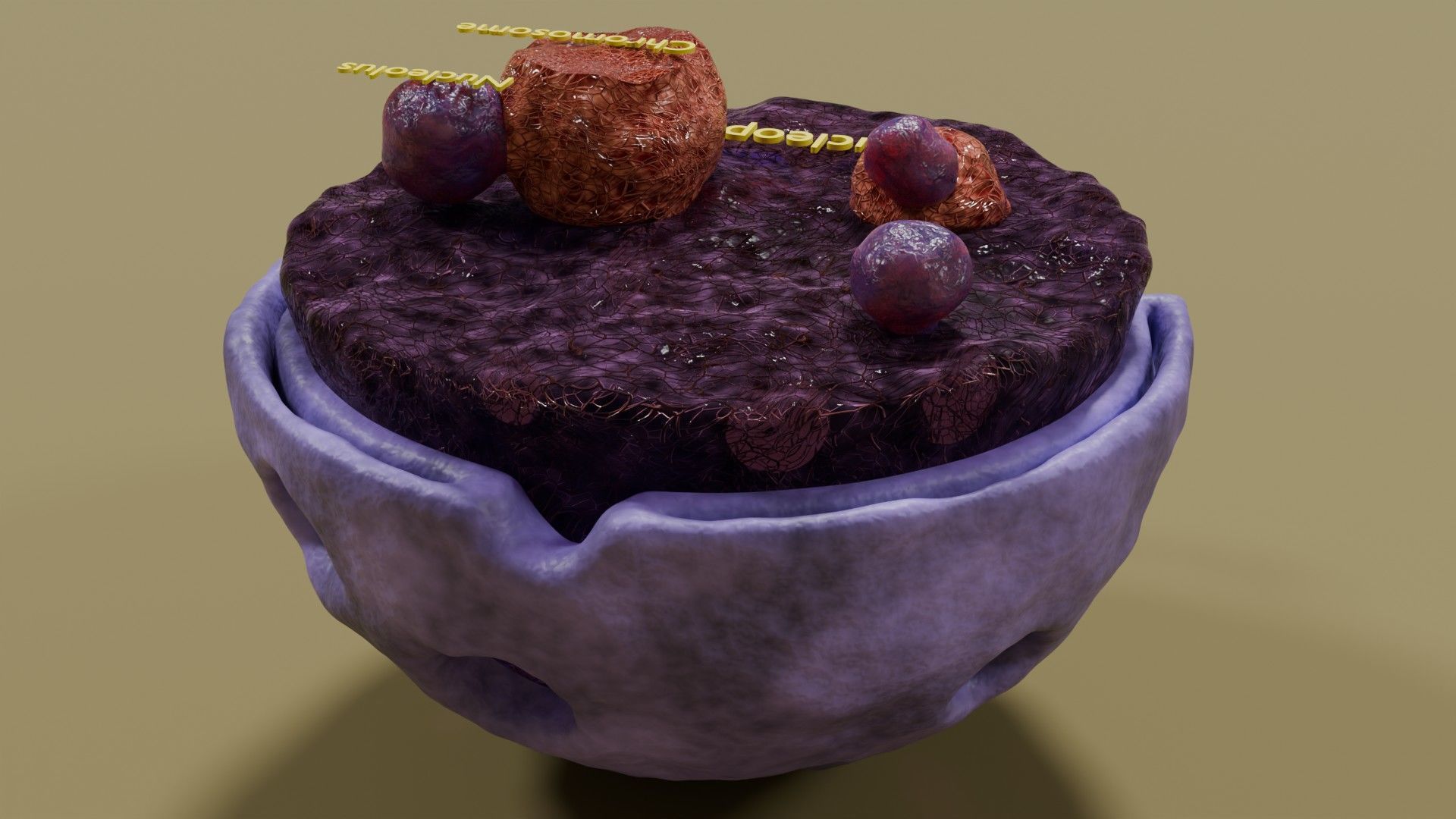 Nucleus structure schematic 3d model Low-poly 3D model_4