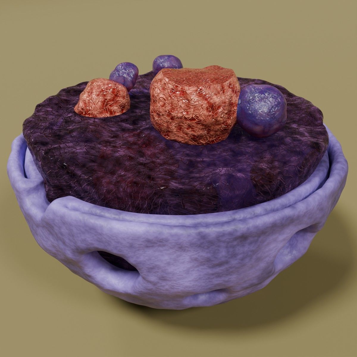 Nucleus structure schematic 3d model Low-poly 3D model_10