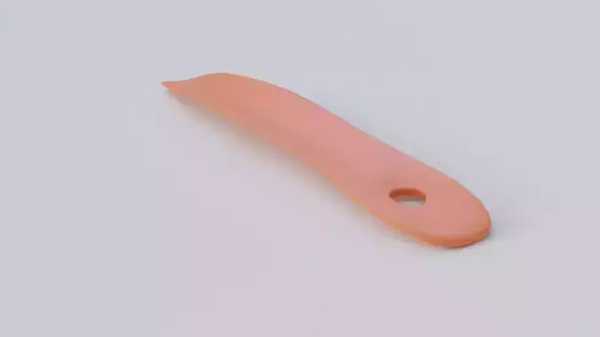 Shoe Horn