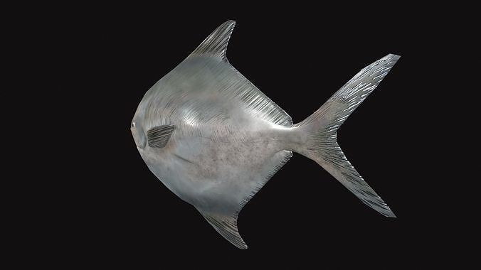 Rupchanda Fish Low-poly 3D model 2