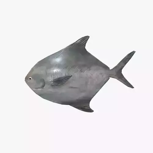 Rupchanda Fish Low-poly 3D model