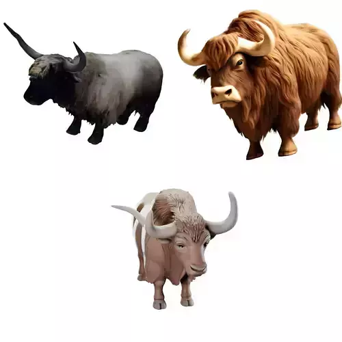 Highland Cattle Collection 3D print model