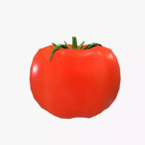 Tomato