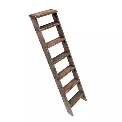 Ladder